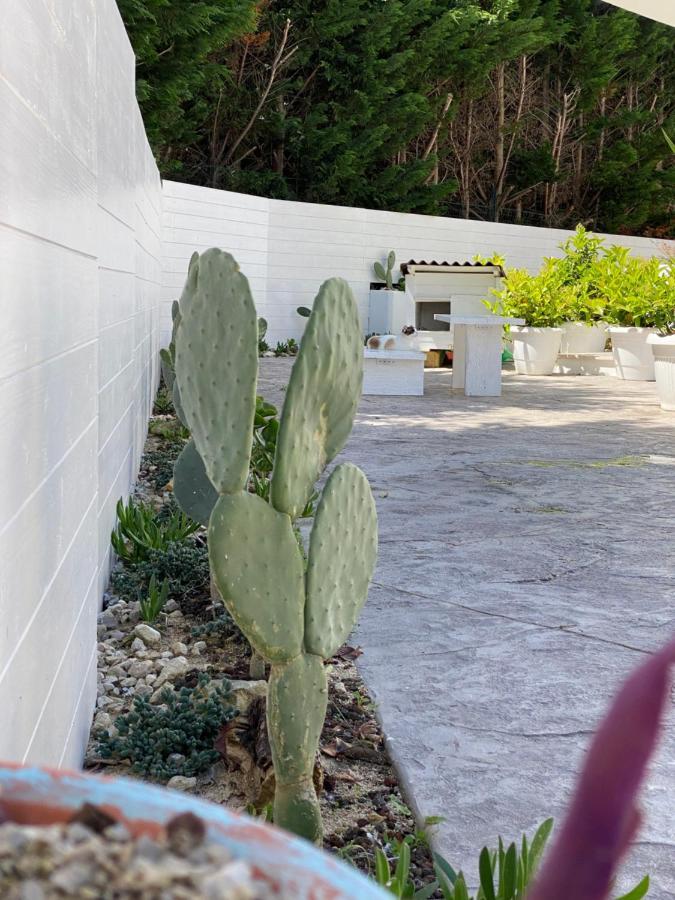 مبيت وإفطار ليتشي La Casa Di Nina المظهر الخارجي الصورة
