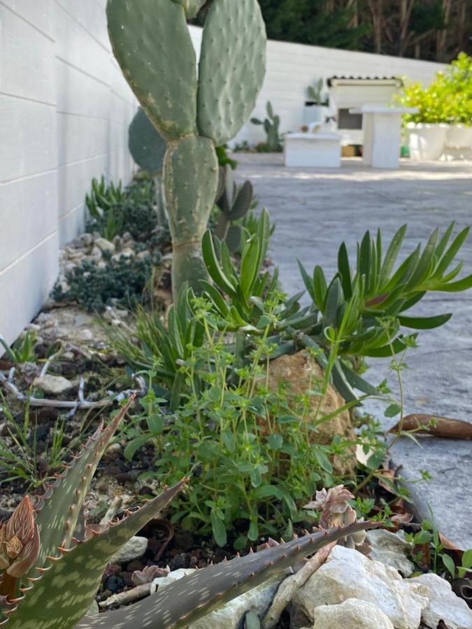 مبيت وإفطار ليتشي La Casa Di Nina المظهر الخارجي الصورة