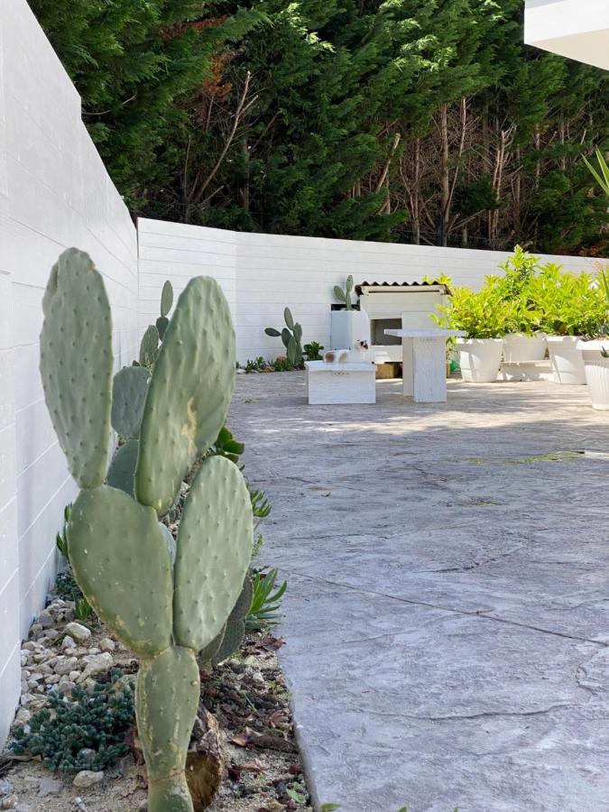 مبيت وإفطار ليتشي La Casa Di Nina المظهر الخارجي الصورة